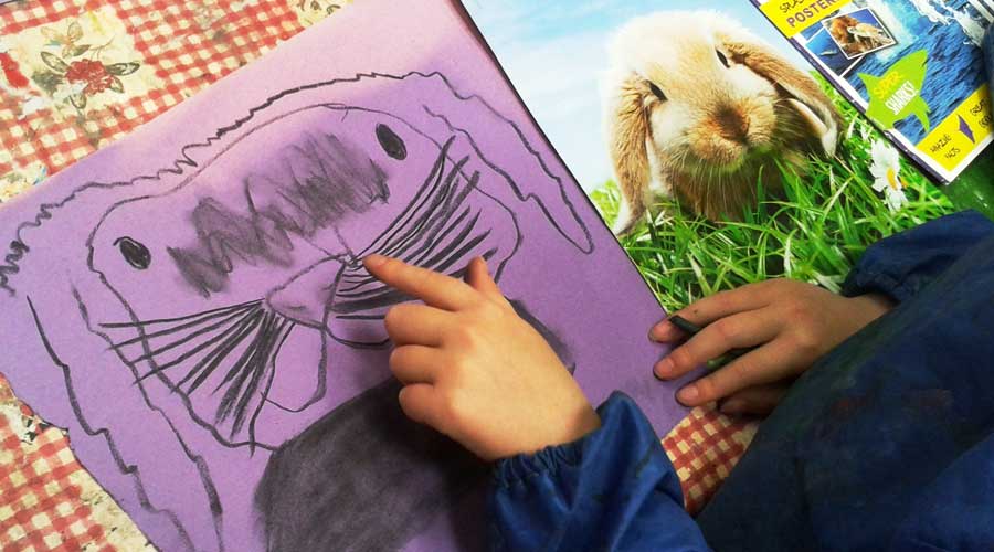 Observational drawing